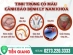 Tinh trùng có máu là bệnh gì? Có nguy hiểm không?