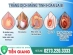 Những Điều Cần Biết Khi Tinh Hoàn Có Nước - Tràn Dịch Màng Tinh Hoàn