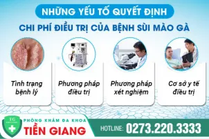chi-phi-dot-sui-mao-ga-het-bao-nhieu-tien-1427
