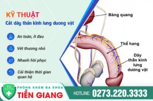 chua-xuat-tinh-som-bang-cat-day-than-kinh-lung-duong-vat-1195