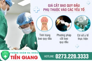 cat-bao-quy-dau-gia-bao-nhieu-bang-gia-cat-bao-quy-dau-moi-cap-nhat-847