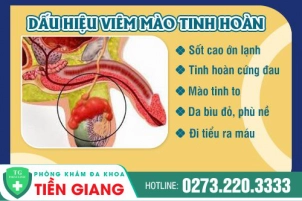 viem-mao-tinh-hoan-nguyen-nhan-tac-hai-va-cach-dieu-tri-hieu-qua-879