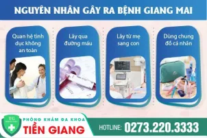 nguyen-nhan-gay-benh-giang-mai-dung-chu-quan-voi-can-benh-55