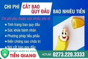 cat-bao-quy-dau-bao-nhieu-tien-dia-chi-cat-bao-quy-dau-uy-tin-tai-tien-giang-563