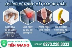 cat-bao-quy-dau-la-gi-nhung-loi-ich-khi-cat-bao-quy-dau-352