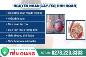 tinh-trang-teo-tinh-hoan-va-su-nguy-hiem-rinh-rap-16