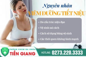 tong-quan-benh-viem-duong-tiet-nieu-nu-va-cach-dieu-tri-hieu-qua-1151